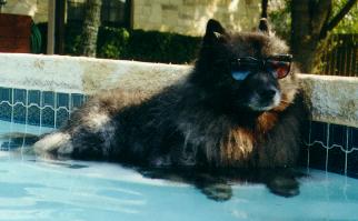 Kelsey wearing sunglasses in the pool
